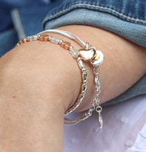 Load image into Gallery viewer, Rose &amp; Silver Hearts
